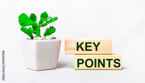 On a light background, a plant in a pot and two wooden blocks with the text KEY POINTS