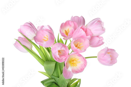 Beautiful tulip flowers on white background #433818322