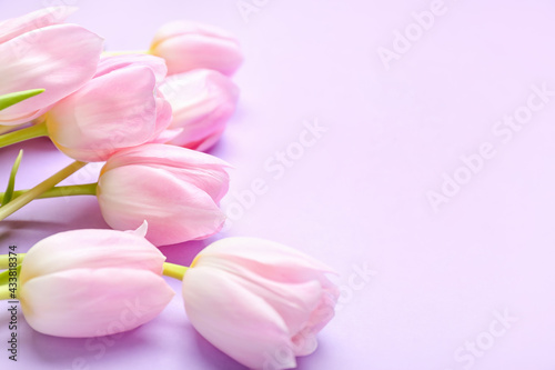 Fototapeta Naklejka Na Ścianę i Meble -  Beautiful tulip flowers on color background