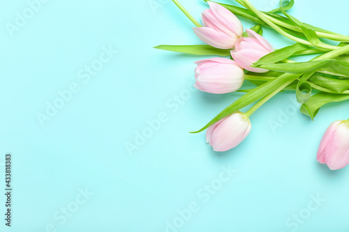 Beautiful tulip flowers on color background