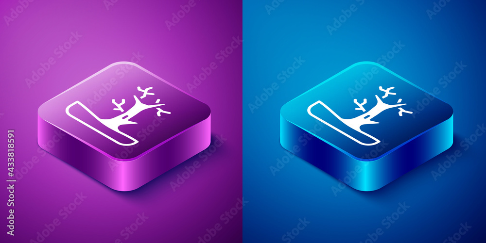 Isometric Bare tree icon isolated on blue and purple background. Square button. Vector
