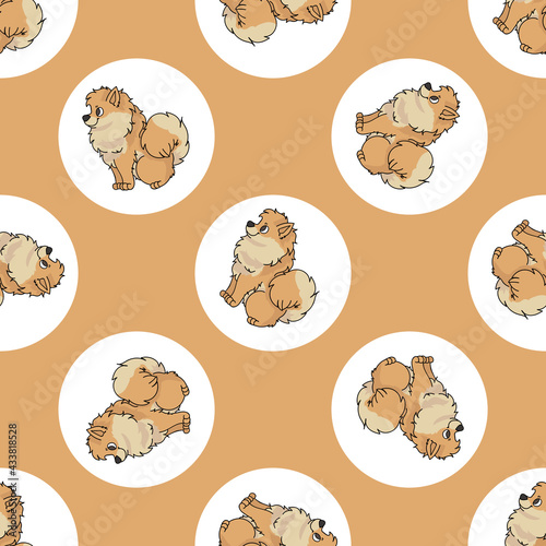 Hand drawn cute Pomeranian dog breed in polka dot seamless vector pattern. Purebred pedigree puppy domestic on dotty background. Dog lover spitz all over print. Kennel club pooch. 