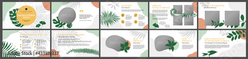Presentation template, floral natural tropic leaves abstract shapes white background . For Power Point, ppt, or Keynote layout. Vector infographic. Business presentation or proposal, leaflet