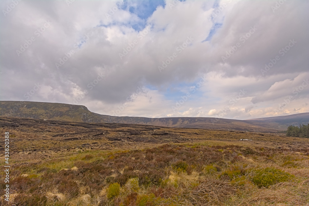 Mountains with rocks and peatland in Wicklow national park, Dublin, Ireland 