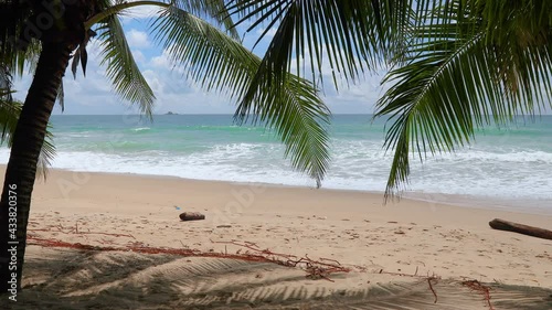 Beach with coconut trees in tropical beaches of Phuket, Thailand, on a sunny day. Overlooking the horizon. And some waves crashing towards the shore Coconut leaves Cover to shade the beach.