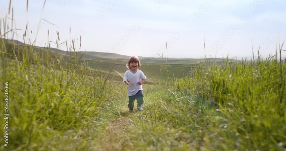Funny smiling little boy running in grass of meadow, looking at camera and laughing. Happy kid having fun - childhood dream, discoveries, positive emotions 4k footage Funny smiling little boy running in grass of meadow, looking at camera and laughing. Happy kid having fun - childhood dream, discoveries, positive emotions 4k footage