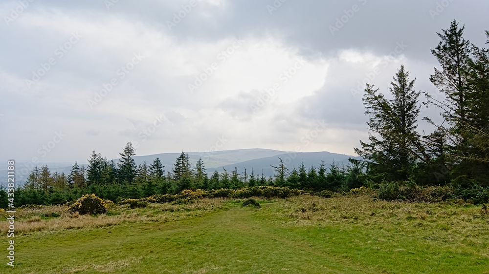 Meadow and forest in Wiclkow mountains, Dublin, Ireland