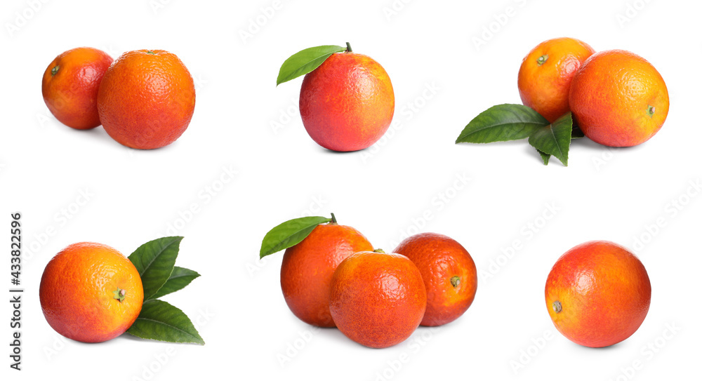 Set with ripe red oranges on white background. Banner design