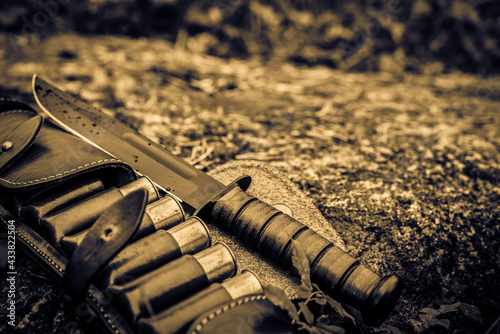 Open leather bandolier with hunting ammunition and combat kmife on a rock in the grass after a rain. Close up view of a stone level photo