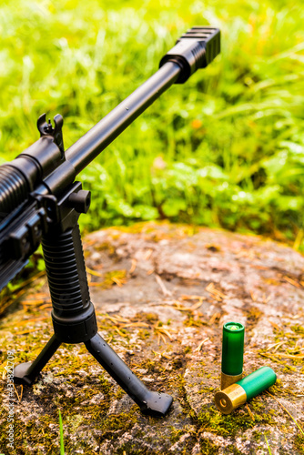 Shotgun standing on a bipod with 12 gauge bullets on a rock in the grass after a rain. Close up view of a stone level
