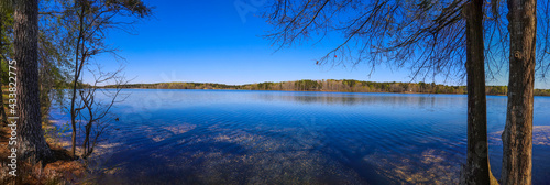 a stunning panoramic shot of the vast blue lake water with gorgeous lush green and autumn colored trees on the banks of the lake and blue sky at Lake Horton Park in Fayetteville Georgia photo