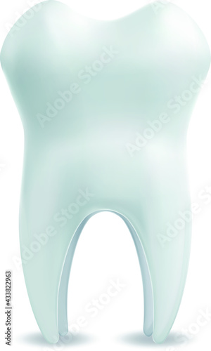 White molar tooth isolated on white background. Vector EPS-10