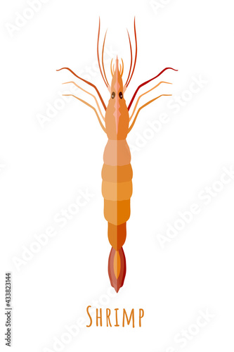 Single shrimp made symmetrical in flat style