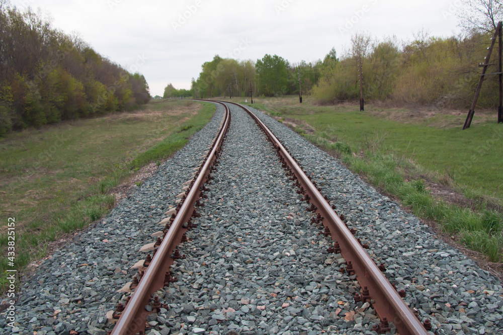 Railroad tracks running into the woods in the distance