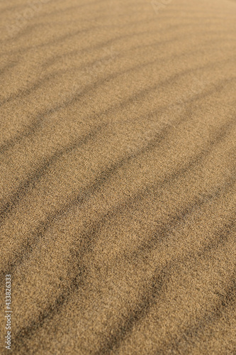 Waves on the surface of the sand dunes, selective focus. Close-up.