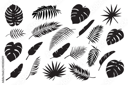 Palm leaves silhouettes. Tropical leaf monstera, banana and coconut. Jungle foliage, exotic rainforest palm tree floral decoration vector set. Paradise branches and leafage for summertime