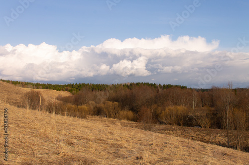 natural landscape early spring yellow field and blue sky with clouds