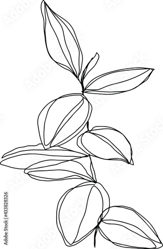 botanical floristic sketch contour branches with leaves. Vector isolated minimalistic branch on a background
КЛЮЧЕВЫЕ СЛОВА(мин: 5 - макс: 49)

Вставить ключевые слова
