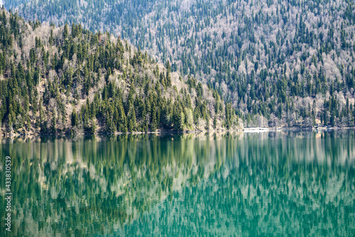 Natural background: a whimsical reflection in the emerald water of the lake of fir trees covering the slopes of the mountains. Copy space. © ROMAN DZIUBALO