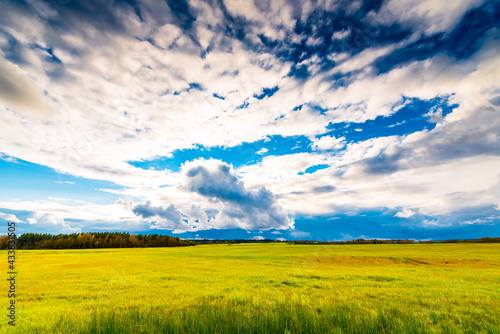 Green fields in the middle of forests on the background of the autumn sky with clouds