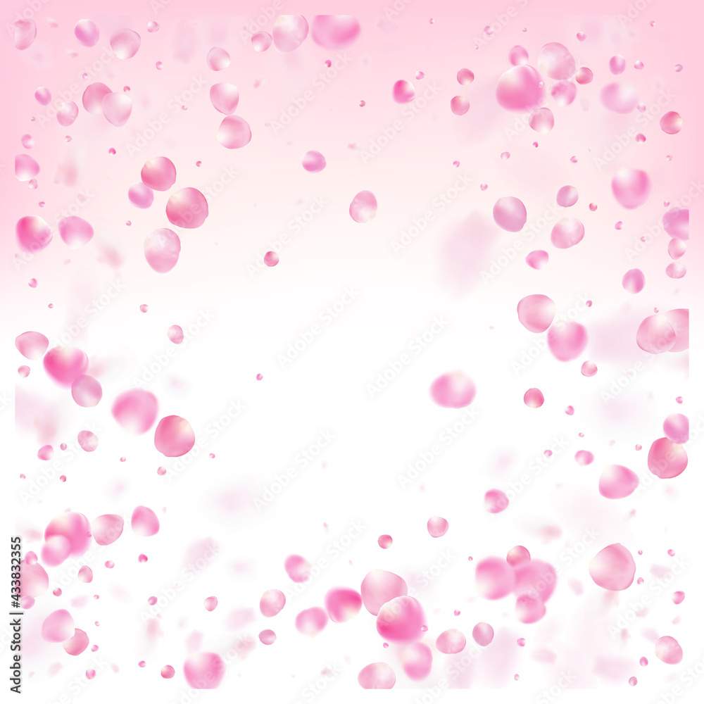 Rose Petals Flying Confetti. Windy Leaves Confetti Border. Blooming Rose Petals Flying Confetti. Windy Leaves Confetti Border. Blooming