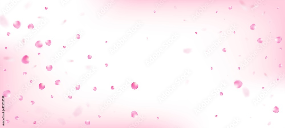 Rose Petals Falling Confetti. Beautiful Premium Pastel Texture.