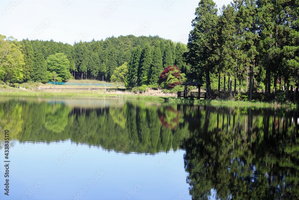 龍王ヶ淵の水鏡 龍王ヶ淵の水鏡