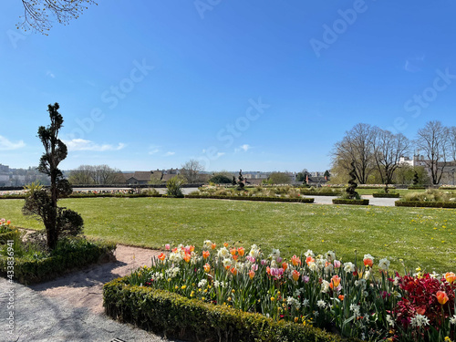 Détente au parc au printemps
