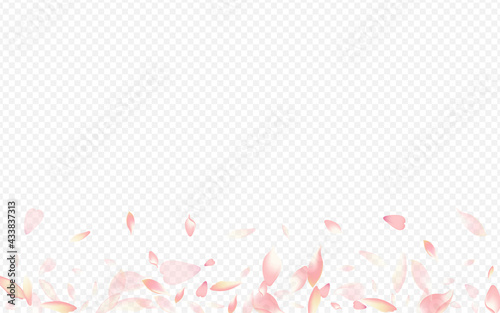 Light Peach Vector Transparent Background. Rosa