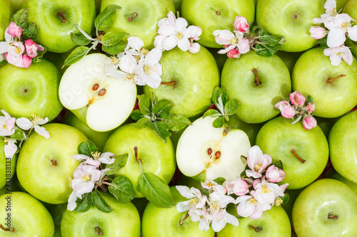 Fototapeta Naklejka Na Ścianę i Meble -  Apples fruits green apple fruit background with leaves and blossoms