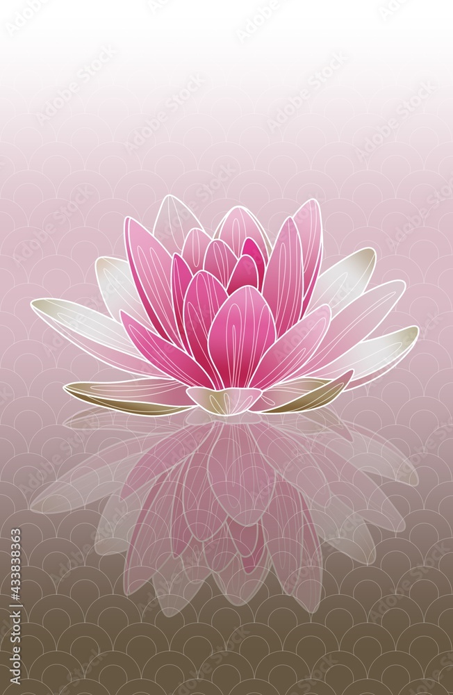 Pink lotus flower illustration. Hand drawn   