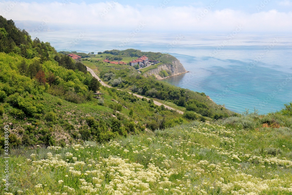 View of a beautiful bay and a blooming meadow in the area of Topola village (Bulgaria)