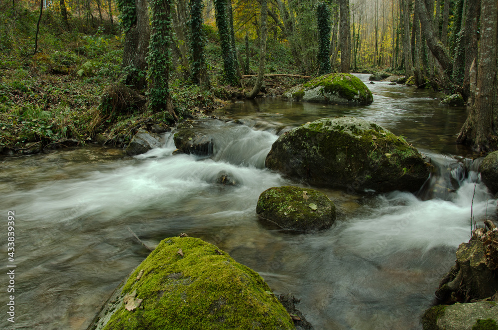 Obraz premium OTOÑO VALLE DEL TIETAR BOSQUES Y RIOS DE MONTAÑA