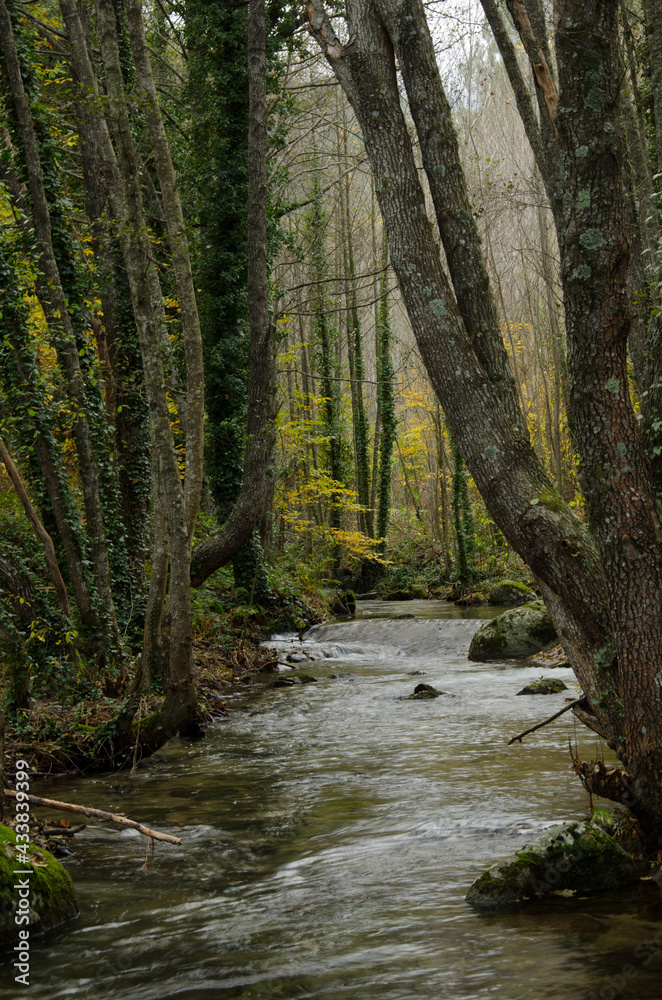 Obraz premium OTOÑO VALLE DEL TIETAR BOSQUES Y RIOS DE MONTAÑA