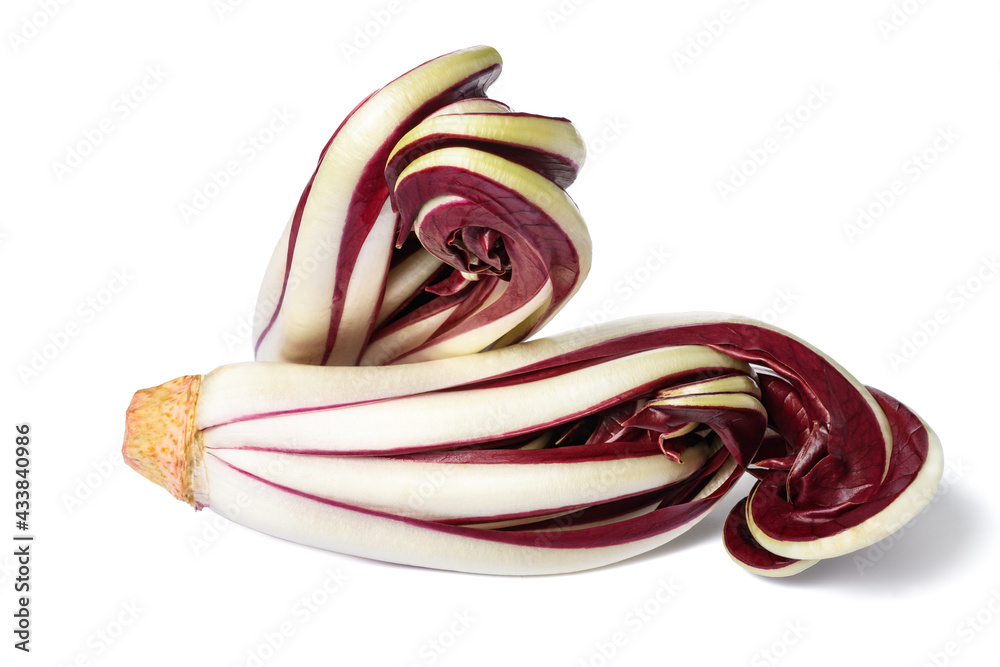 Red Treviso chicory
