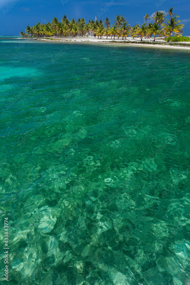 Fototapeta premium Half Moon Caye, Belize, Caribbean
