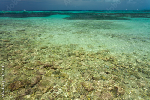 Half Moon Caye, Belize, Caribbean