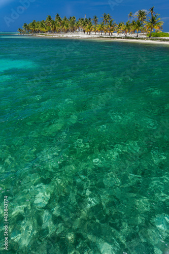 Half Moon Caye, Belize, Caribbean