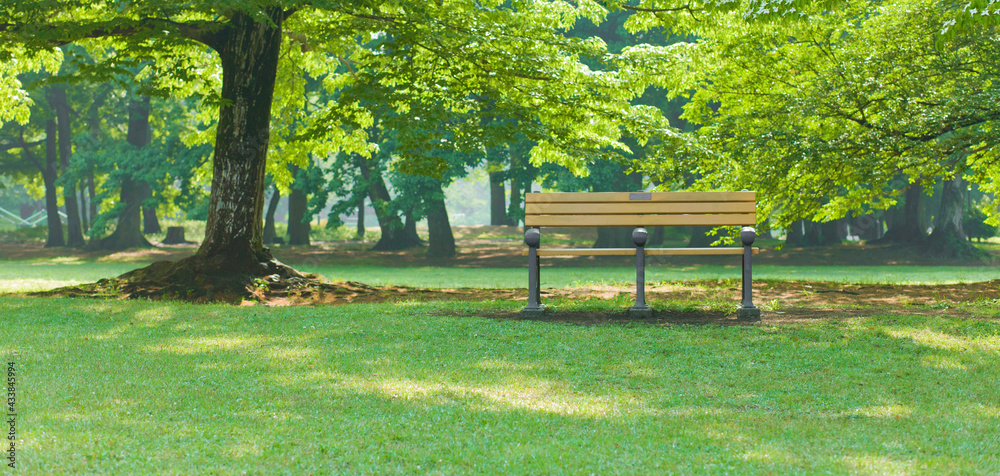 garden bench