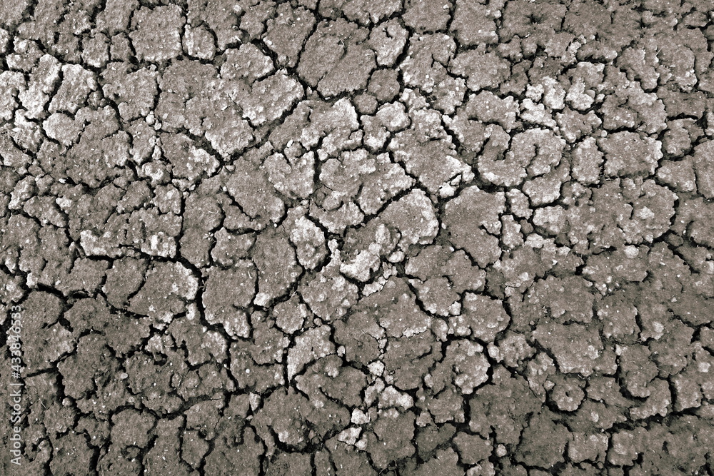 Dried Cracked Texture Background. Dry Earth .Soil Ground Grunge Texture. Close up of crack soil Top View. Cracked Earth Soil Black Arid Background. Dried Cracked Texture Background. Dry Earth .Soil Ground Grunge Texture. Close up of crack soil Top View. Cracked Earth Soil Black Arid Background.