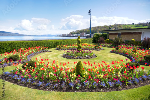 Fototapeta Naklejka Na Ścianę i Meble -  Flower display in park in Rothesay on Isle of Bute