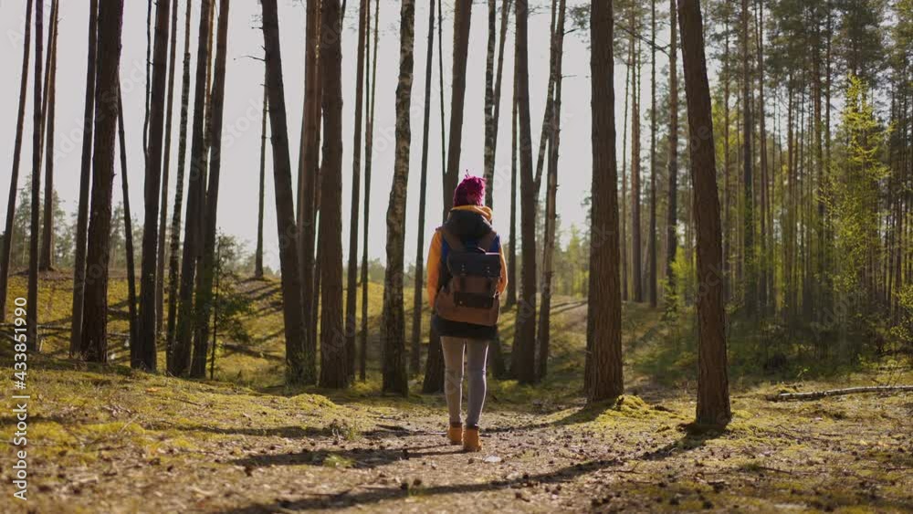 Euphoric pretty woman with tourist backpack walking alone through summer forest wild nature enjoying african safari hiking adventure alone. Portraits Euphoric pretty woman with tourist backpack walking alone through summer forest wild nature enjoying african safari hiking adventure alone. Portraits
