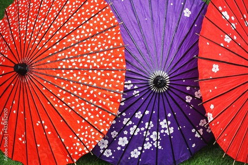 Red and indigo paper parasol umbrellas with white floral pattern Asian culture background