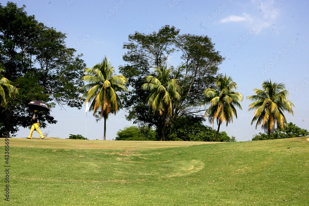 Paisaje de un campo de golf con palmas y árboles Paisaje de un campo de golf con palmas y árboles