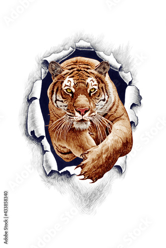 The tiger in the jump breaks through the paper (metal). Pencil drawing isolated on a white background.  