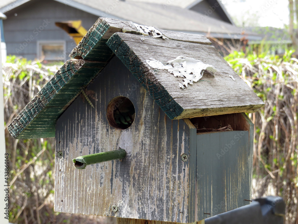 Old green bird house.