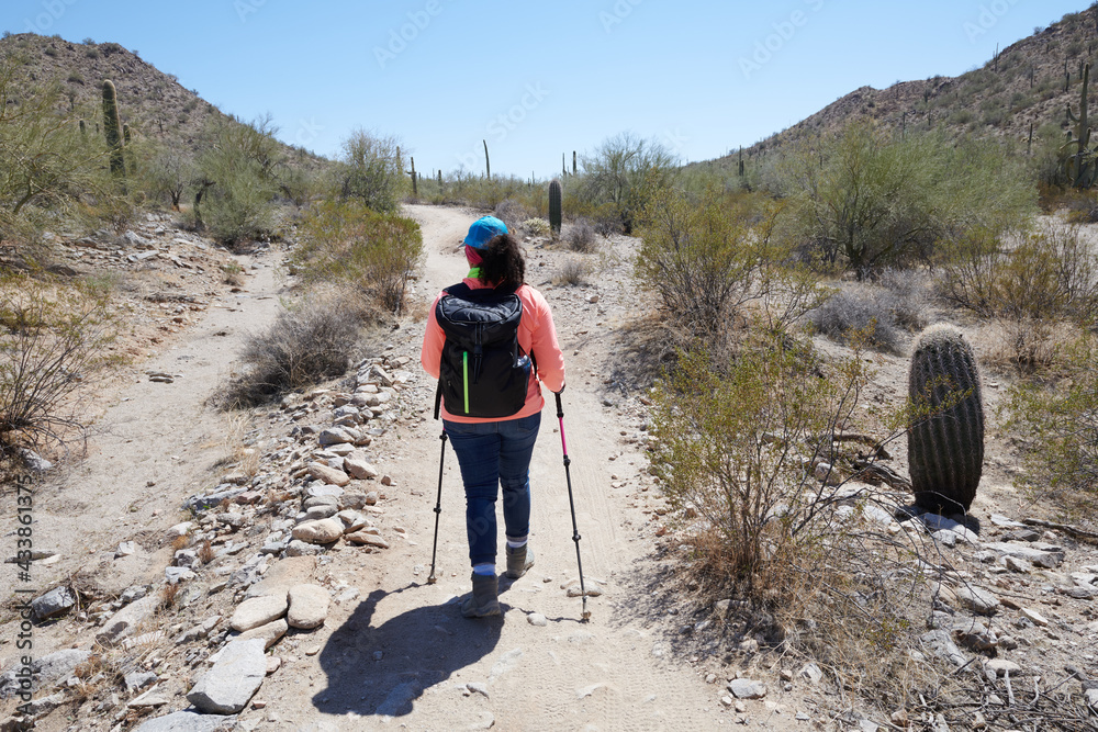Female hiking in the mountains with trekking sticks 2