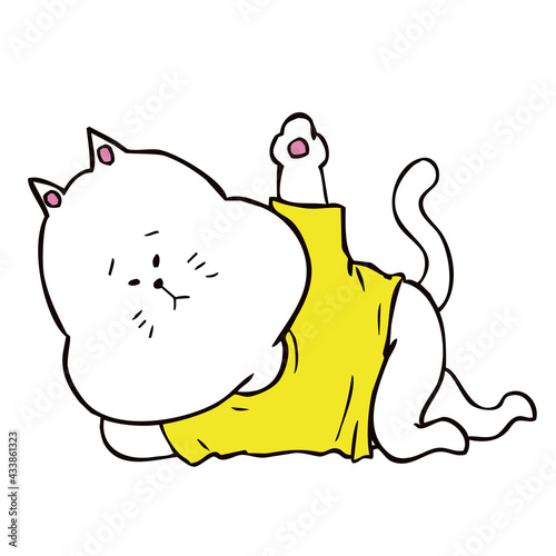寝転んで左手を上げる猫