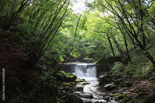 Fototapeta Naklejka Na Ścianę i Meble -  霧降川の風景。鬱蒼とした森の木立から漏れる日の光の筋が滝を照らす。　奥日光・霧降高原を流れる霧降川には4つの滝があり、川に沿って滝を巡る散策ができる。