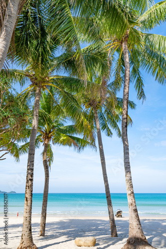 Summer background of Coconut Palm trees on white sandy beach Landscape nature view Romantic ocean bay with blue water and clear blue sky over sea at Phuket island Thailand